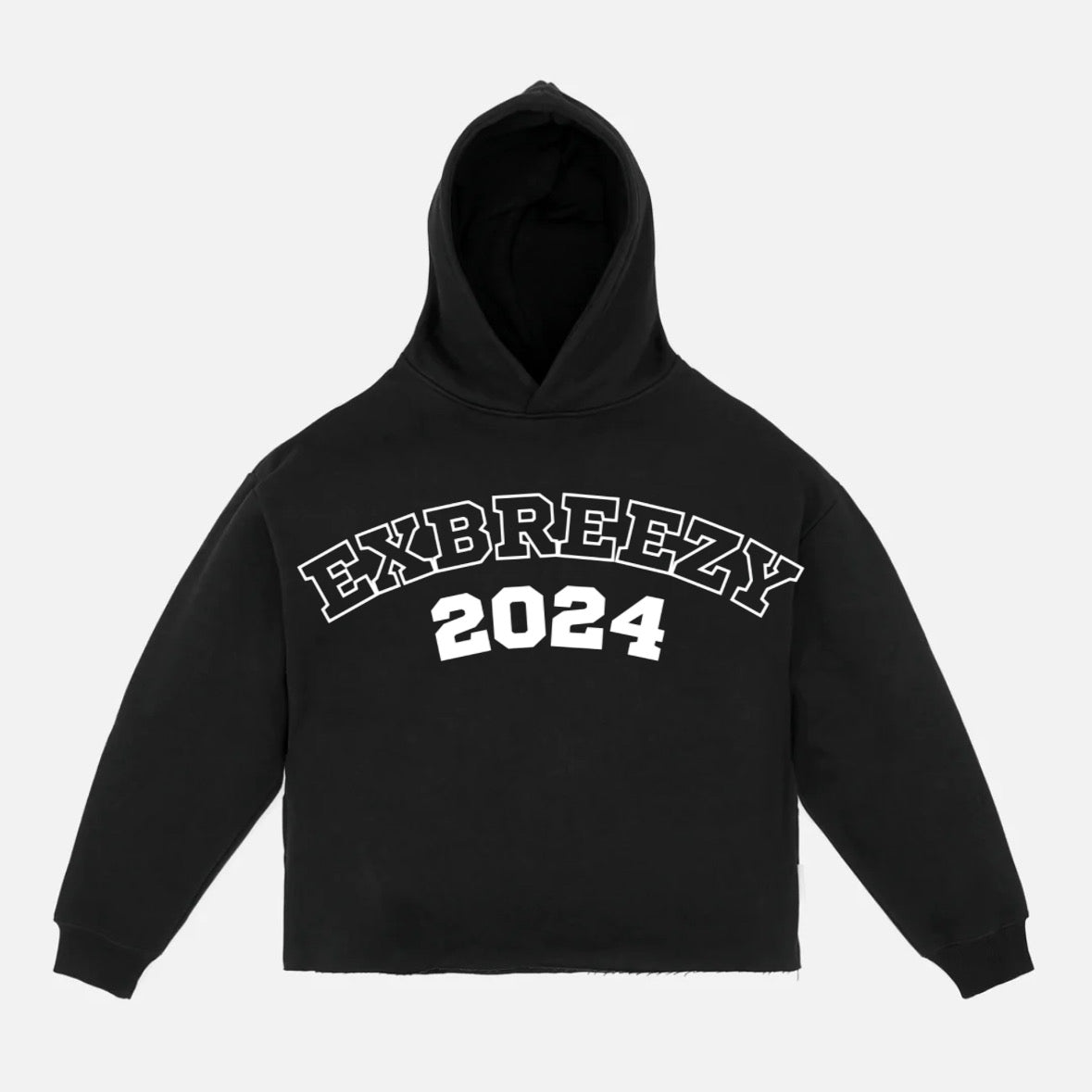 "Exbreezy 2024" Hoodie